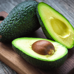 10-palta1-1200px910px